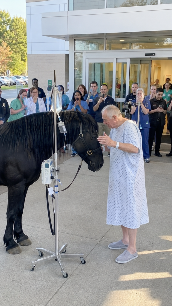An elderly man gently reconnects with a black stallion during the Forgotten Horse Promise reunion outside a hospital.